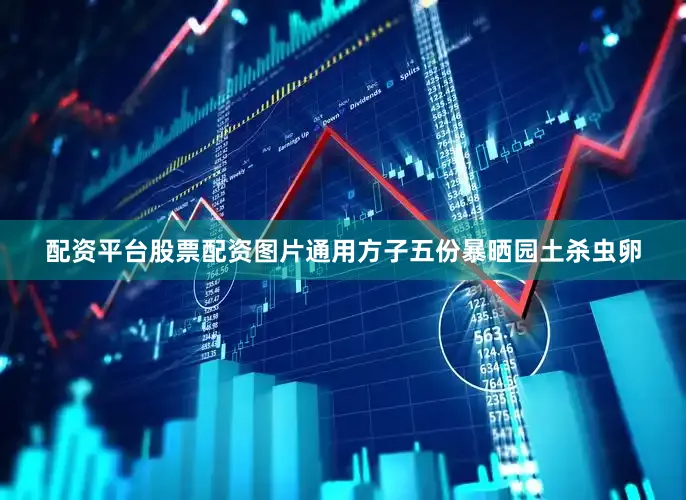 配资平台股票配资图片通用方子五份暴晒园土杀虫卵